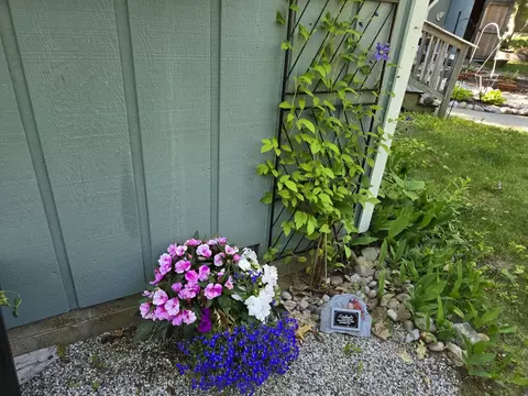 Exterior - 2885 Pine St, Lewiston, MI 49756 photo 7 of 7