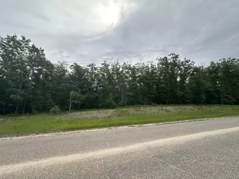 Skyline Road, Grayling, MI 49738 photo 6