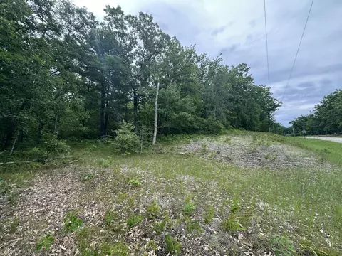 Skyline Road, Grayling, MI 49738 photo 5