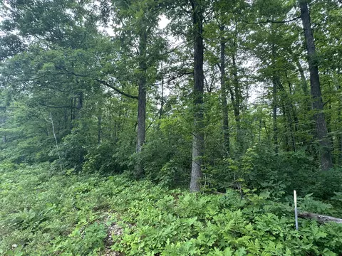 Skyline Road, Grayling, MI 49738 photo 3