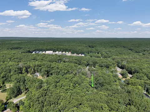 111 Leafy Ln, Roscommon, MI 48653 photo 52