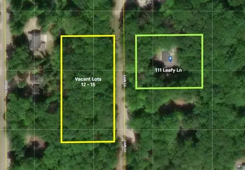 111 Leafy Ln, Roscommon, MI 48653 photo 55