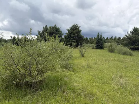 10 Ac Garling Rd, Fairview, MI 48621 photo 17