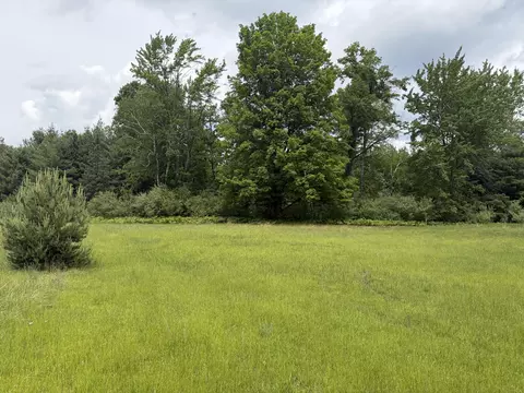10 Ac Garling Rd, Fairview, MI 48621 photo 19