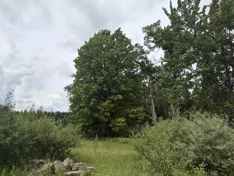 10 Ac Garling Rd, Fairview, MI 48621 photo 14