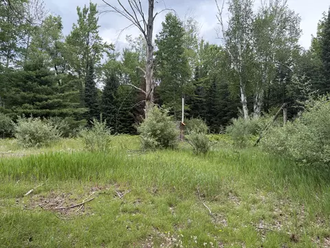 10 Ac Garling Rd, Fairview, MI 48621 photo 10