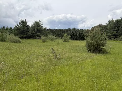 10 Ac Garling Rd, Fairview, MI 48621 photo 16