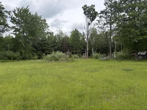 10 Ac Garling Rd, Fairview, MI 48621 photo 4