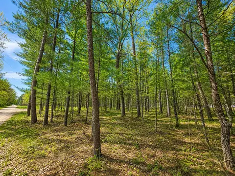 VL 20-29 Madison Avenue #.64 AC, Grayling, MI 49738