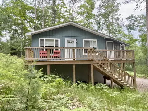 19310 Pine Tree Ct, Hillman, MI 49746