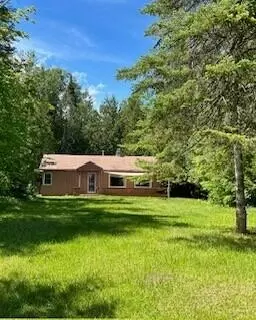 4241 N Government Rd, Moran, MI 49760