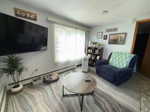 1205 E Michigan Ave, Grayling, MI 49738 photo 16