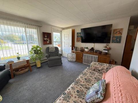 1205 E Michigan Ave, Grayling, MI 49738 photo 28