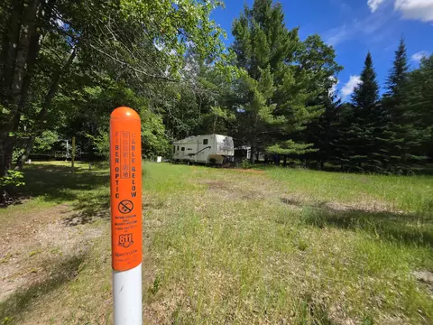 1301 Marsh Dr, Mio, MI 48647 photo 5