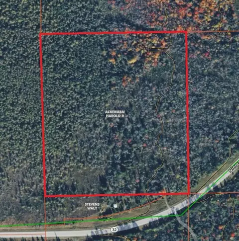 19180 Michigan 32, Hillman, MI 49746