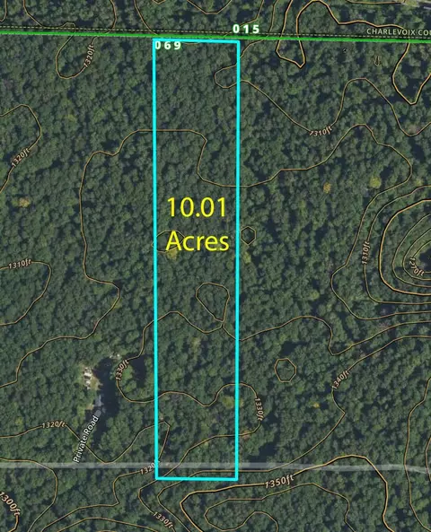 V/L 10.01A Binder Road #10.01 ACRES, Elmira, MI 49730