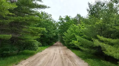 40 E Ac E Pioneer Rd #40 AC, Roscommon, MI 48653