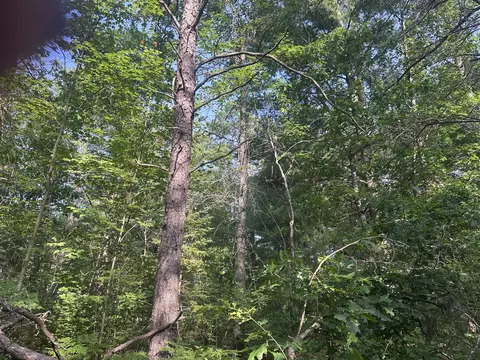 lot Apt 19 Arenoca Dr, Luzerne, MI 48636