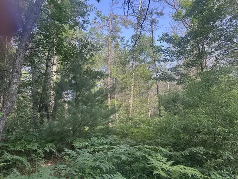 lot Apt 20 Arenonca Dr, Luzerne, MI 48636