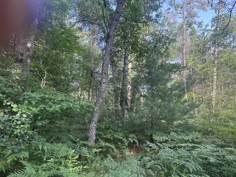lot Apt 18 Arenonca Dr, Luzerne, MI 48636 photo 4