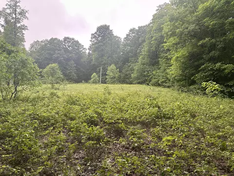 Parcel 2 Tobias Road #6.67 ACRES, Elmira, MI 49730