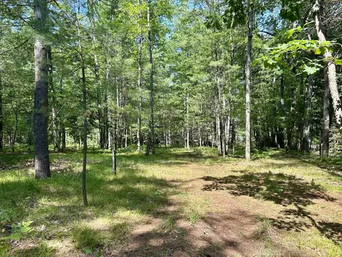 Exterior - 11620 Goodfellow Dr, Frederic, MI 49733 photo 13 of 15
