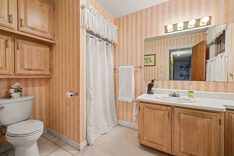 Bath - 11620 Goodfellow Dr, Frederic, MI 49733 photo 2 of 2