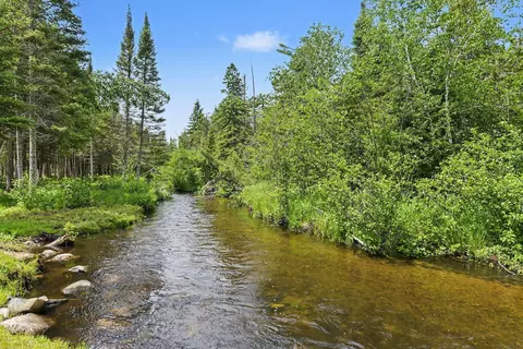 125 Acres Willick Rd, Gaylord, MI 49735
