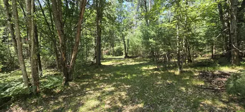 5 W Ac W Maplehurst Dr, Roscommon, MI 48653 photo 3