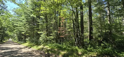 5 W Ac W Maplehurst Dr, Roscommon, MI 48653 photo 6