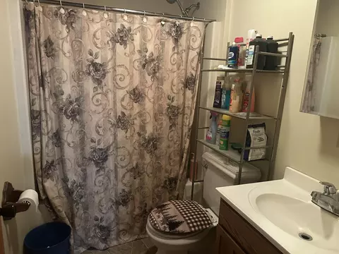 Bath - 1423 Cauchy Rd, Mio, MI 48647 photo 1 of 1
