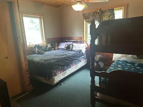 Bedroom - 1423 Cauchy Rd, Mio, MI 48647 photo 2 of 4