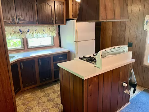 741 Harbor View Dr, Mio, MI 48647 photo 8