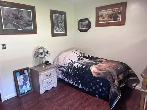 1217 Elden Dr, Alpena, MI 49707 photo 32
