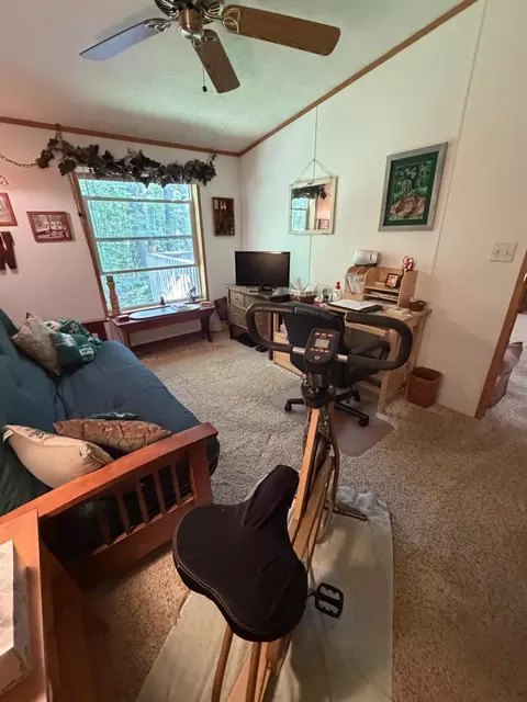 Other - 7992 E Sturgeon Valley Rd, Vanderbilt, MI 49795 photo 5 of 6