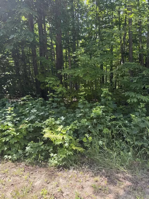 lot185 Forest Grove Dr, Mancelona, MI 49659