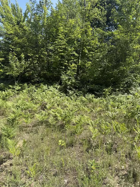 lot64 Northover Circle Rd, Mancelona, MI 49659