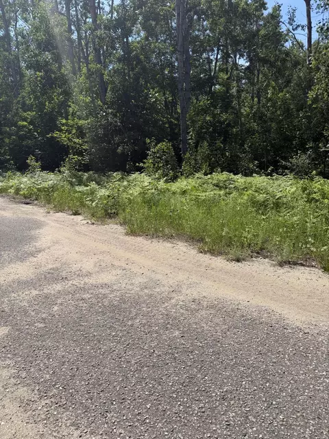 lot73 Northover Circle Rd, Mancelona, MI 49659