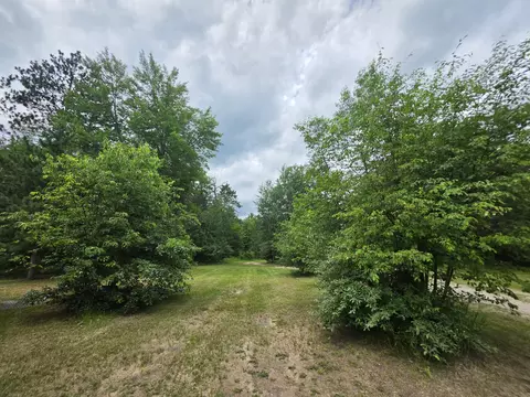Exterior - 145 E Cherry Creek Rd, Mio, MI 48647 photo 16 of 19
