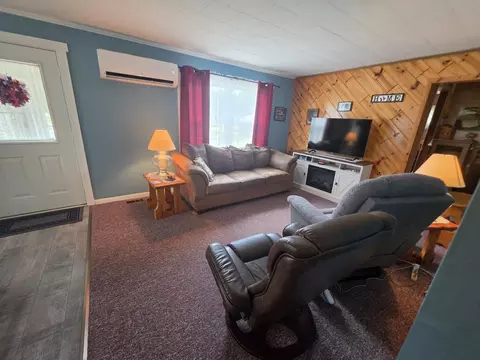 Living - 145 E Cherry Creek Rd, Mio, MI 48647 photo 3 of 3