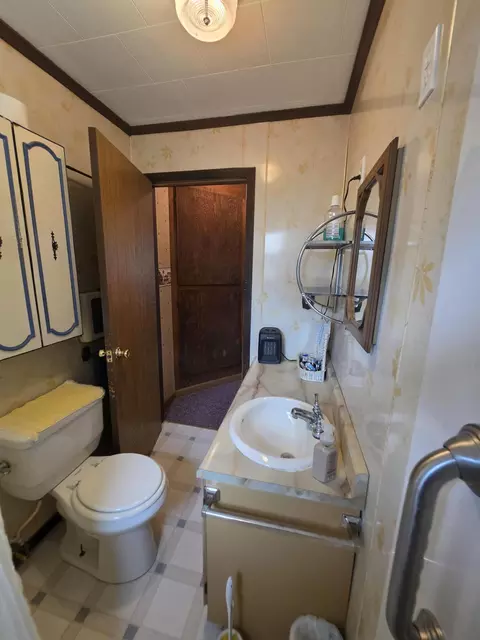 Bath - 145 E Cherry Creek Rd, Mio, MI 48647 photo 4 of 4