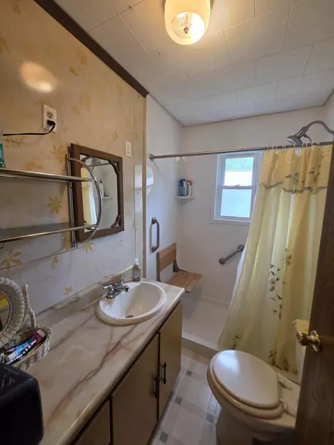 Bath - 145 E Cherry Creek Rd, Mio, MI 48647 photo 3 of 4