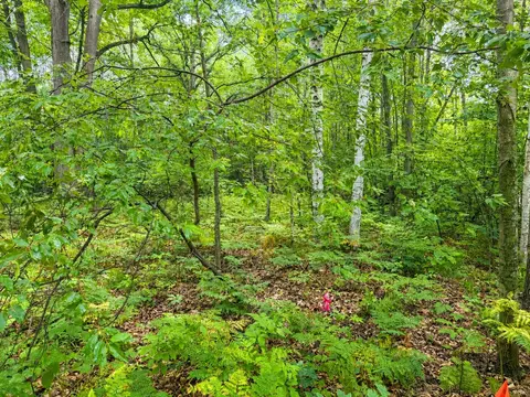 Vl .61 Ac Bay City Trail, Houghton Lake, MI 48629