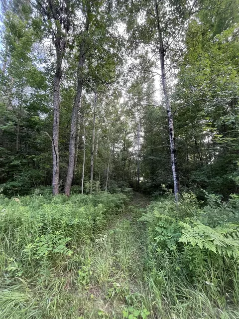 lot251 Sunridge Dr, Elmira, MI 49730