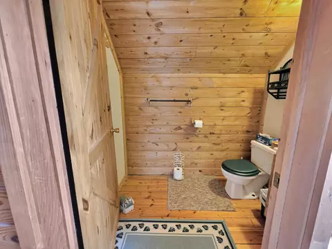 Bath - 3608 Wurm Rd, Wolverine, MI 49799 photo 3 of 3