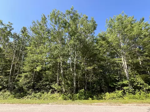 lot327 Fallen Timbers Dr, Presque Isle, MI 49777