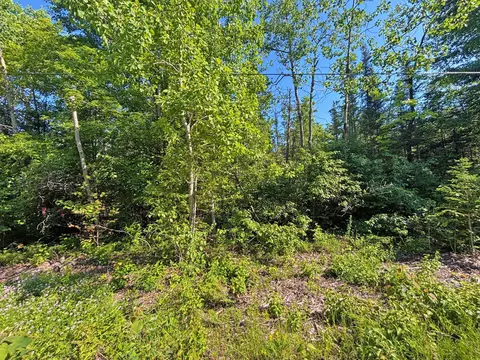 V/L Pineview Drive #278, Presque Isle, MI 49777