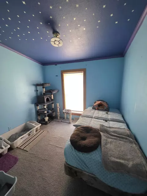 Bedroom - 2683 E Spruce Rd, Spruce, MI 48762 photo 4 of 4