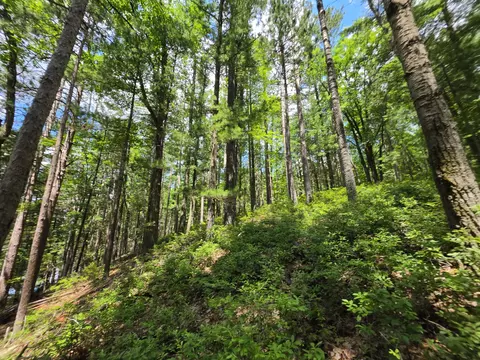 2391 Kenneth Rd, Mio, MI 48647 photo 16