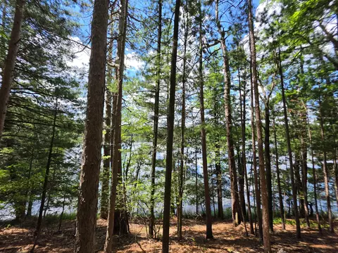 2391 Kenneth Rd, Mio, MI 48647 photo 7